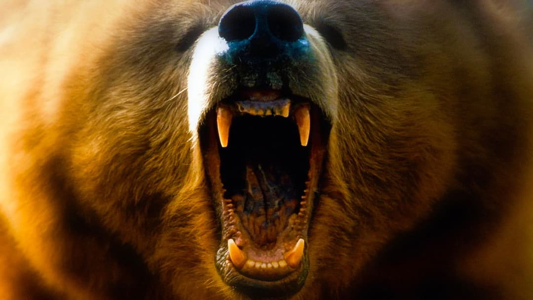 Auf Messers Schneide - Rivalen am Abgrund backdrop 1