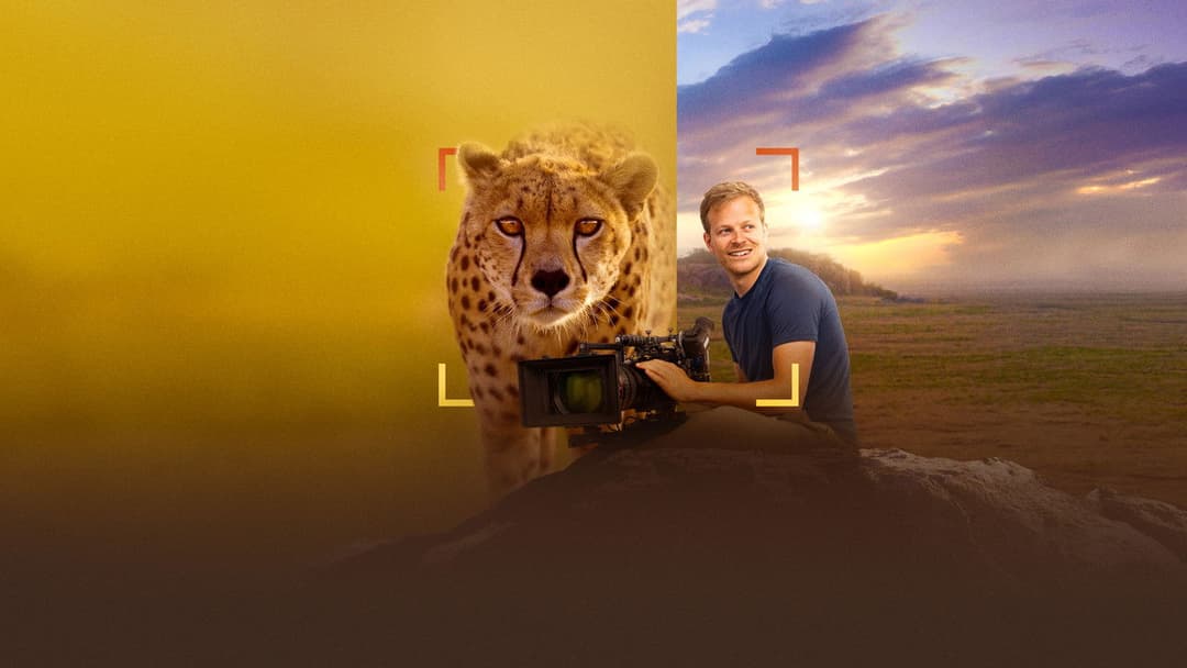 Cheetahs Up Close with Bertie Gregory backdrop 2