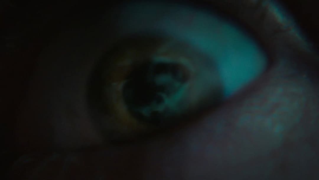 Хелловін. Кінець backdrop 16