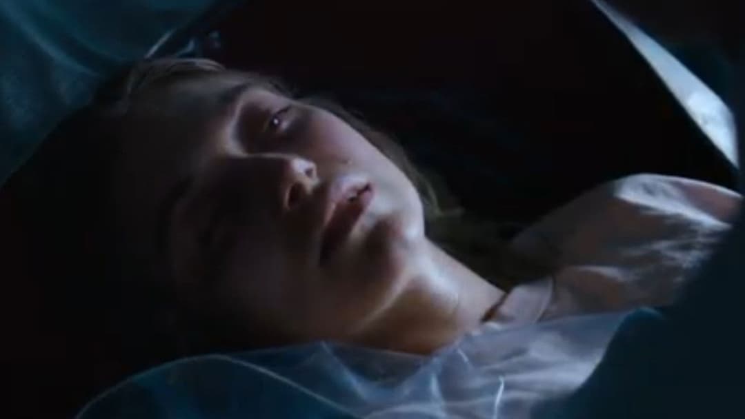 Vivarium backdrop 17