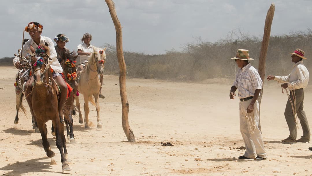 Pájaros de verano backdrop 14