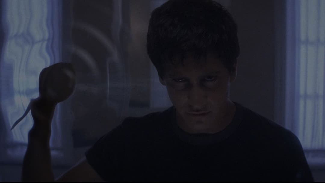 Donnie Darko backdrop 14