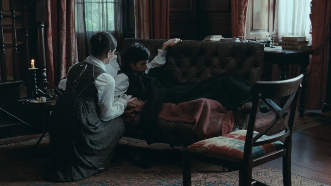 Яскрава зірка backdrop 15