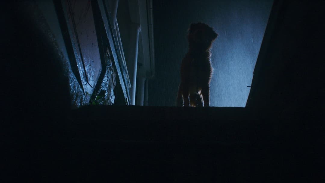 Хороший хлопчик backdrop 8