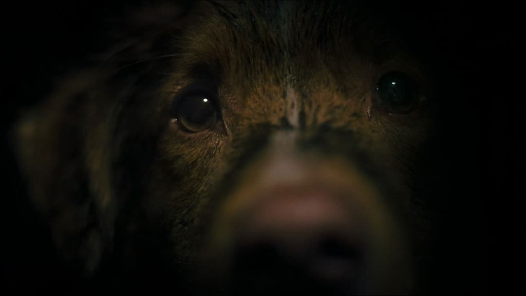 Хороший хлопчик backdrop 5