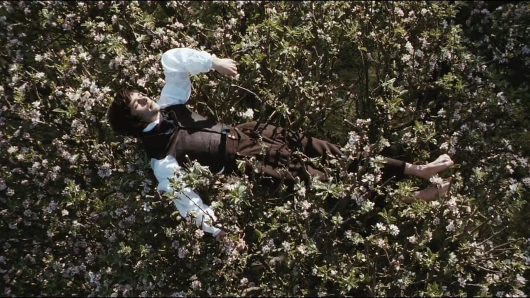 Яскрава зірка backdrop 5