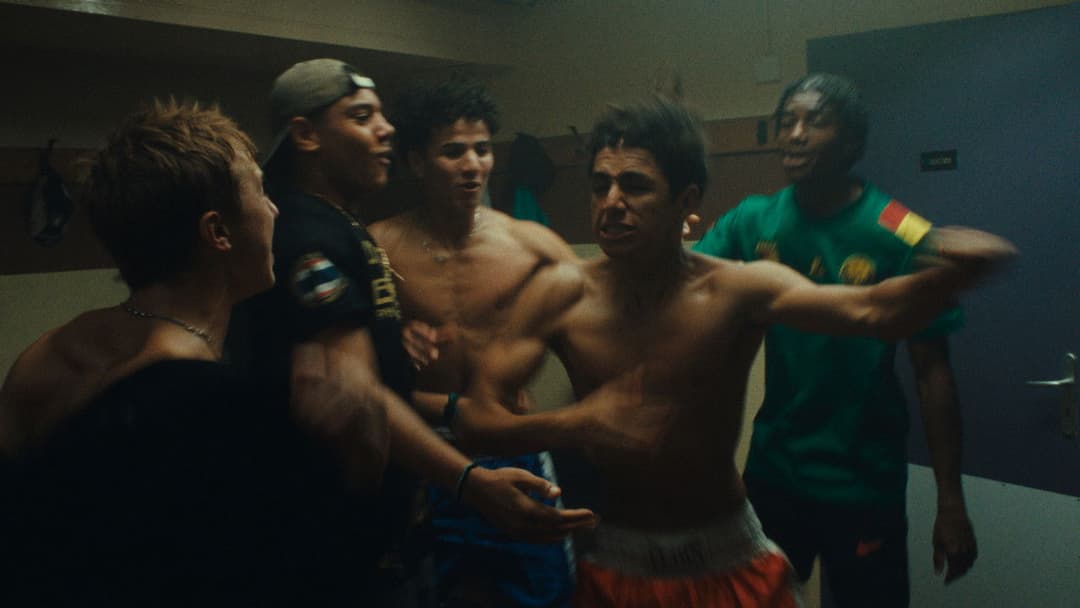 Wild Foxes backdrop 2