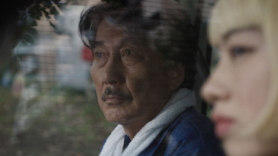 Perfect Days backdrop 9