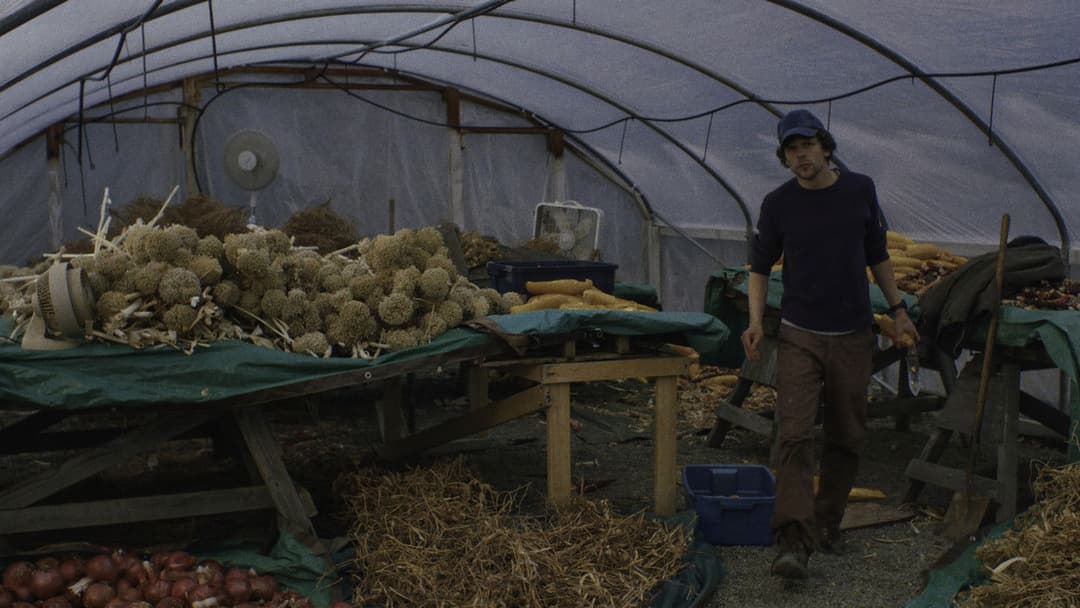 Night Moves backdrop 12