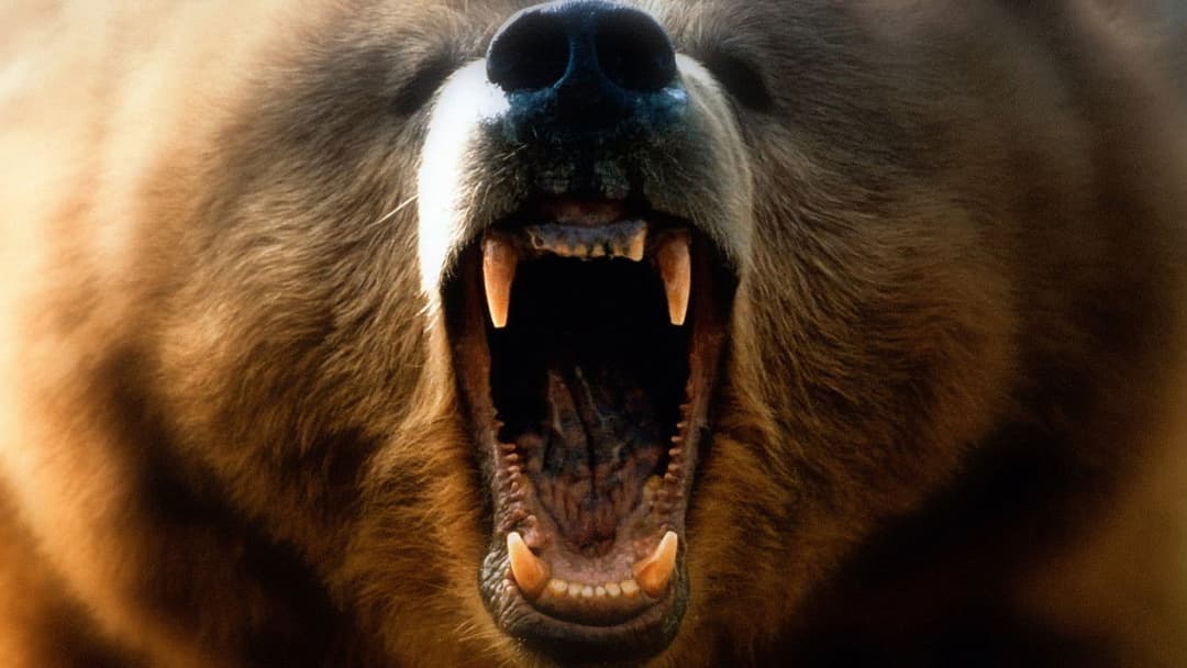 Auf Messers Schneide - Rivalen am Abgrund backdrop 10