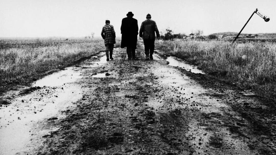 Satantango backdrop 5