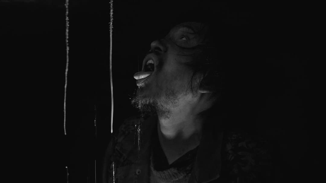 伤寒杂病论 backdrop 5