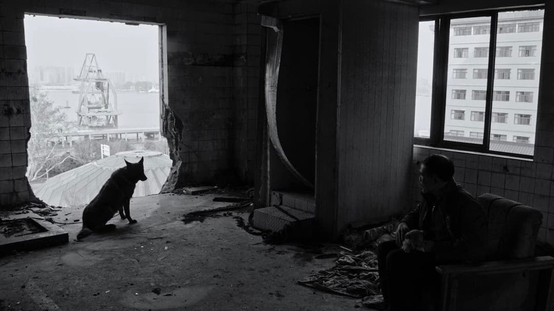 伤寒杂病论 backdrop 3