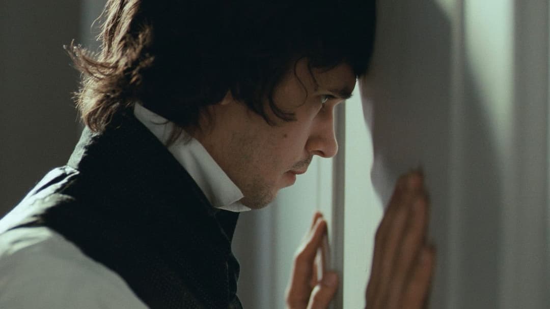 Яскрава зірка backdrop 12