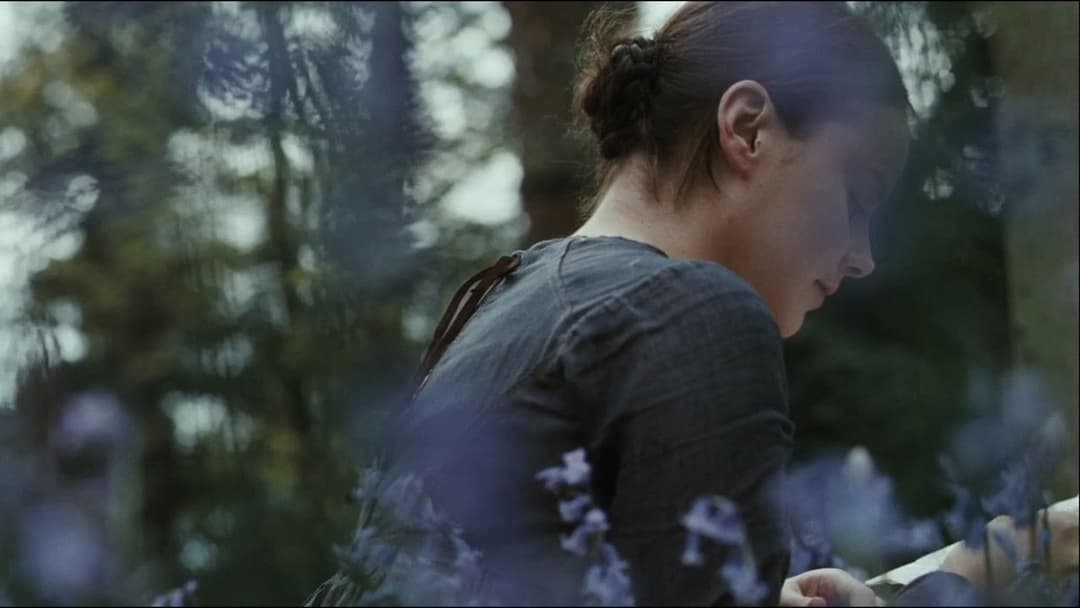 Яскрава зірка backdrop 3