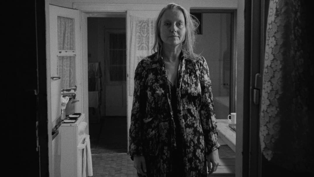 Die Werckmeisterschen Harmonien backdrop 17