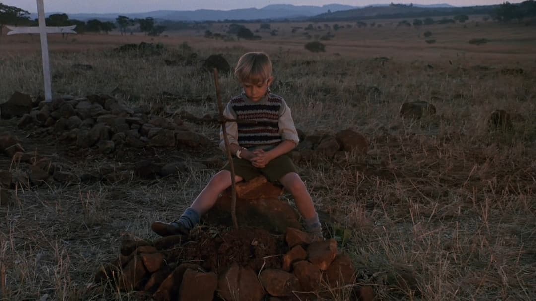 Im Glanz der Sonne backdrop 13