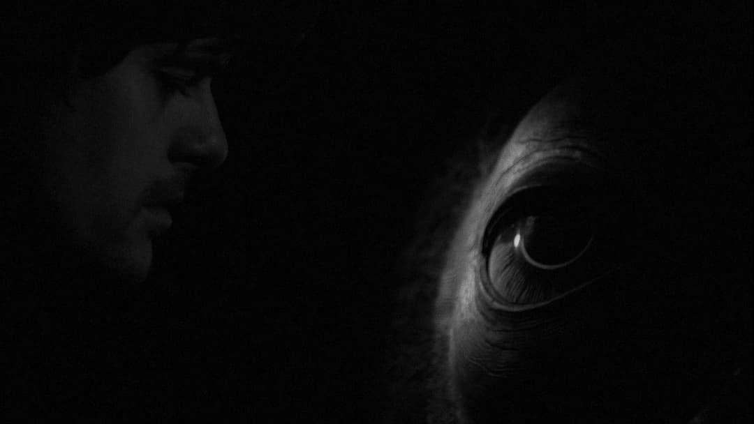 Die Werckmeisterschen Harmonien backdrop 11