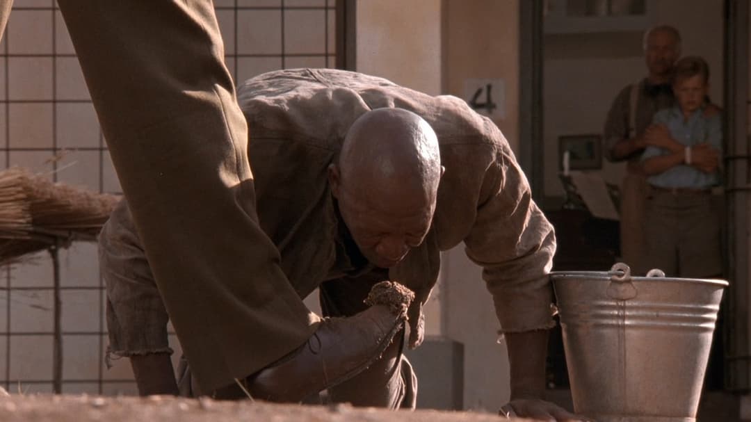 Im Glanz der Sonne backdrop 12