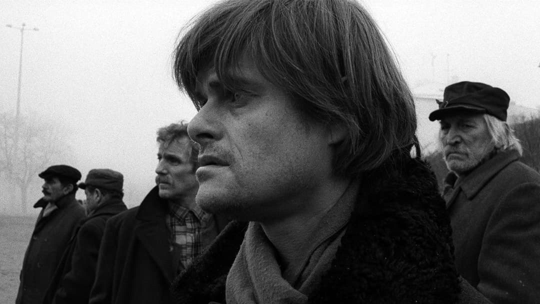 Die Werckmeisterschen Harmonien backdrop 3