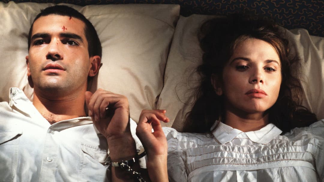 Fessle mich! backdrop 8