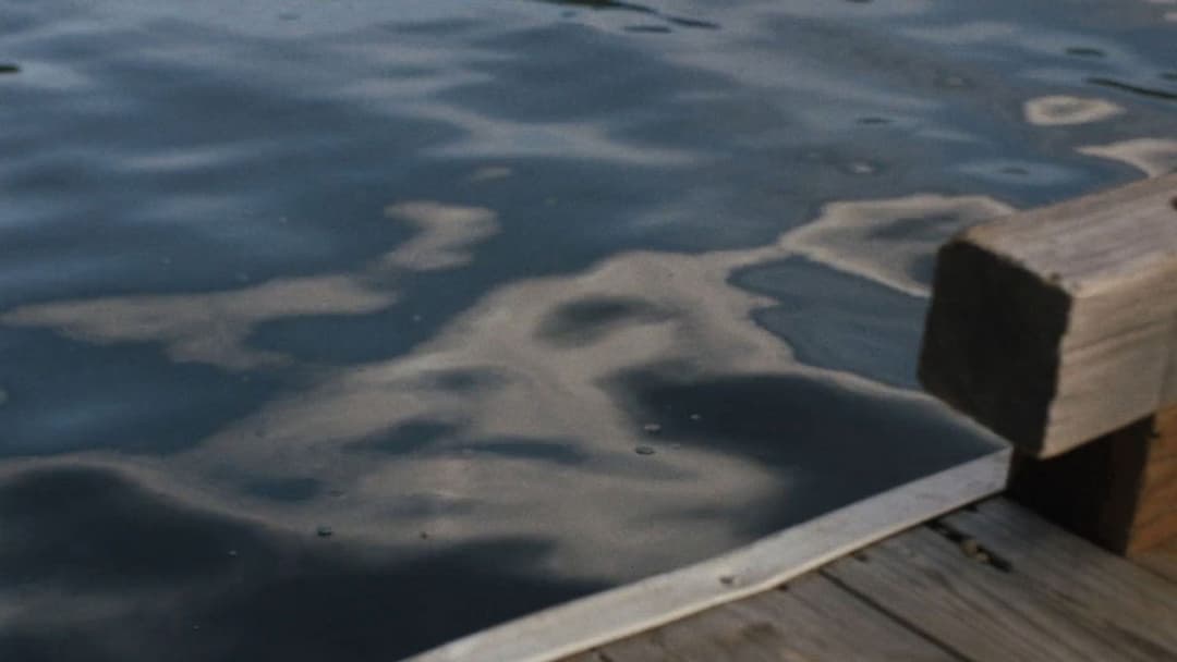 Night Moves backdrop 17