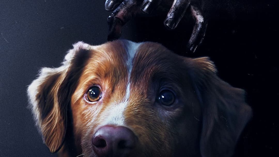 Хороший хлопчик backdrop 18