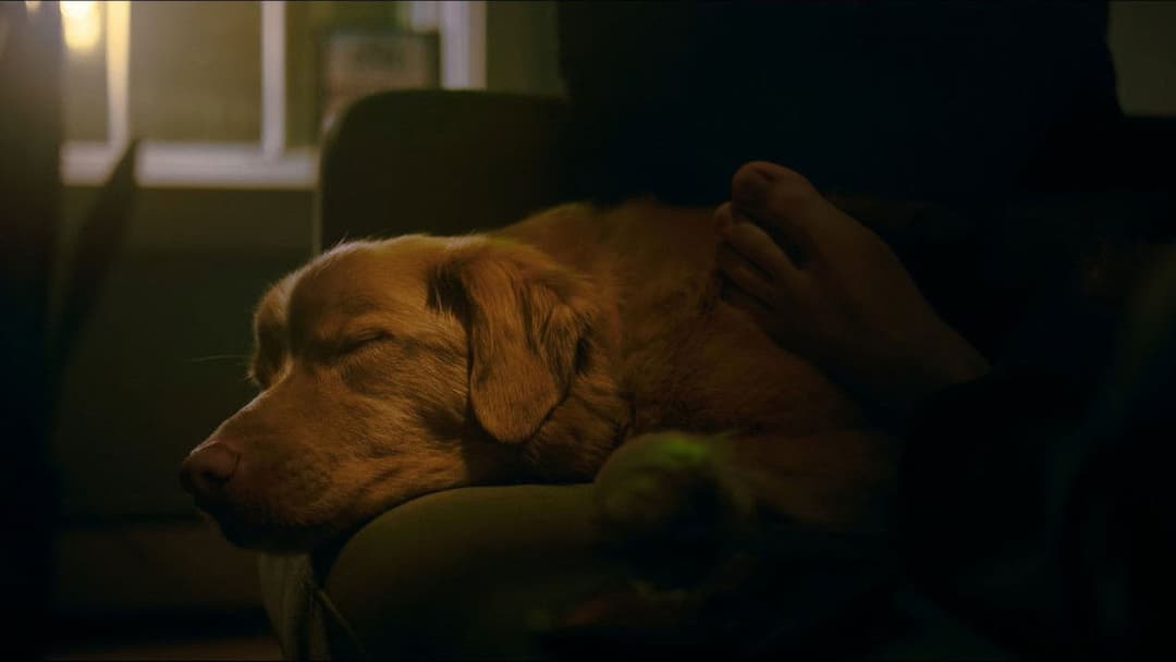 Хороший хлопчик backdrop 4