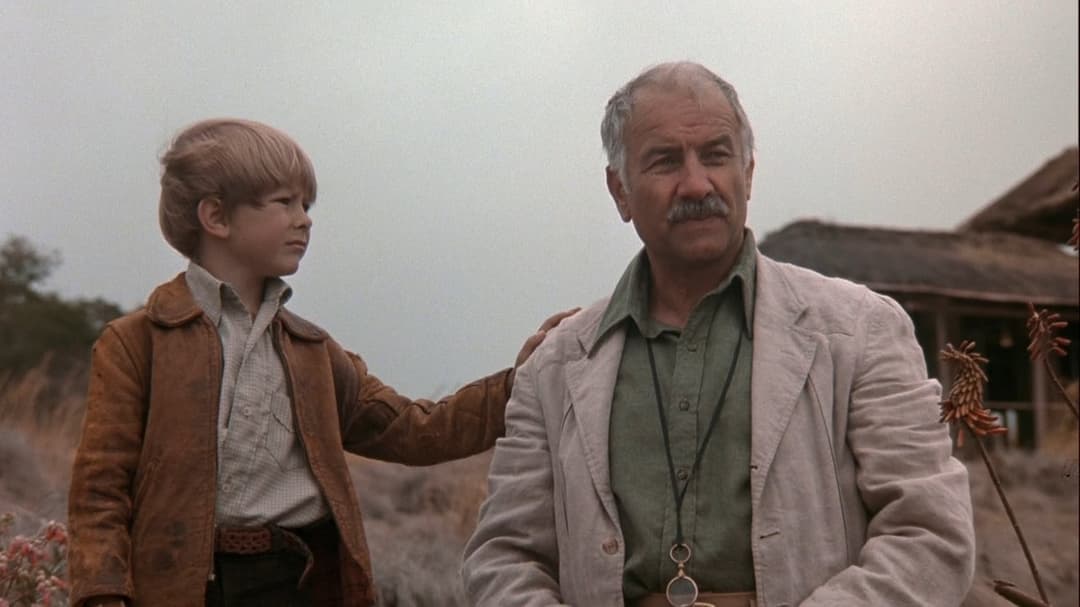 Im Glanz der Sonne backdrop 8