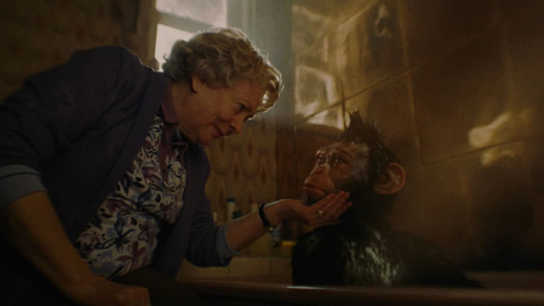 Роббі Вільямс: Better Man backdrop 7