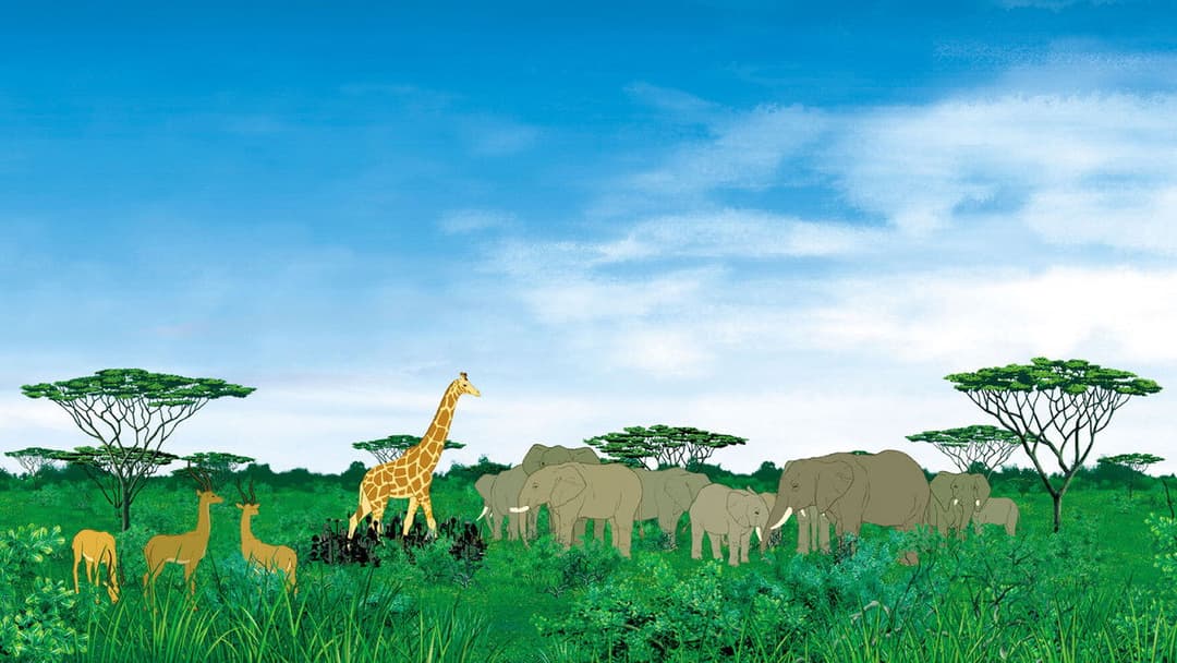 Kiriku und die wilden Tiere backdrop 10