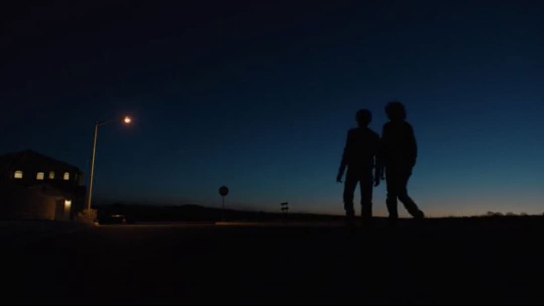 Щиголь backdrop 17