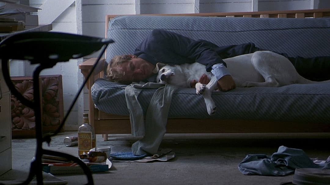 Непристойна пропозиція backdrop 18