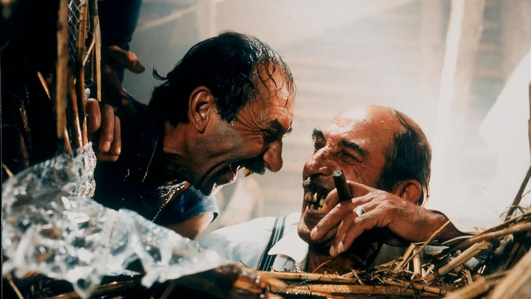 Black Cat, White Cat backdrop 5