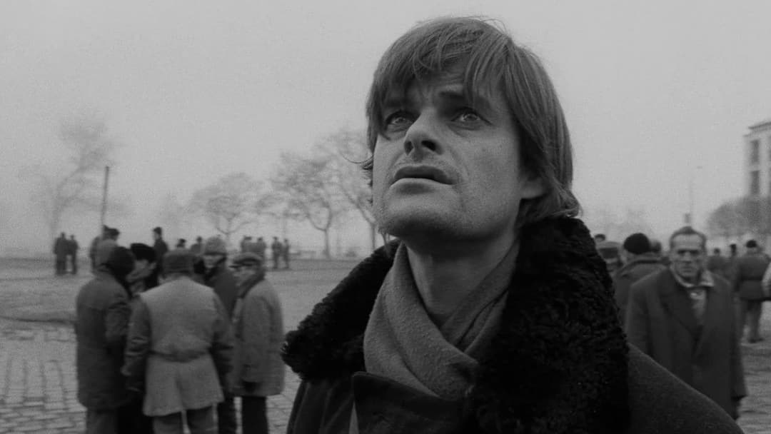 Die Werckmeisterschen Harmonien backdrop 14