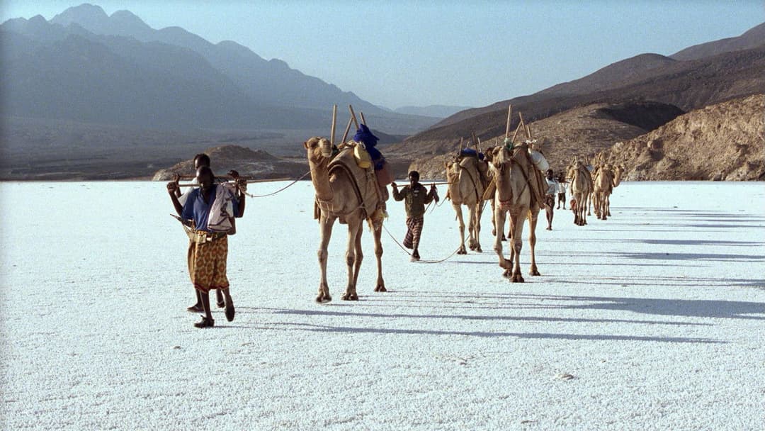 Beau Travail backdrop 11