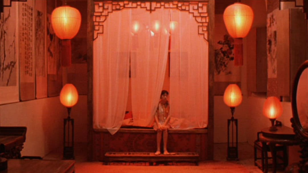 Rote Laterne backdrop 12