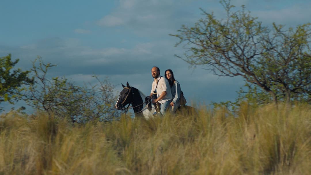 The Delinquents backdrop 8