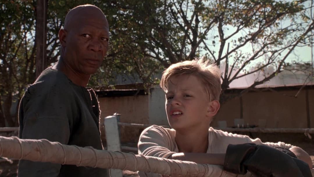 Im Glanz der Sonne backdrop 19