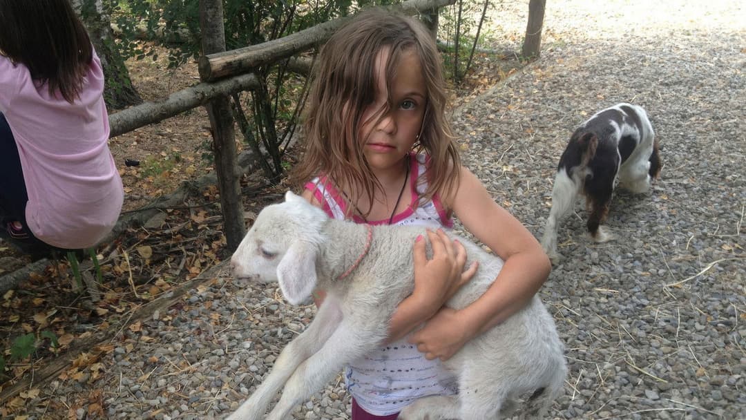 Le meraviglie backdrop 17