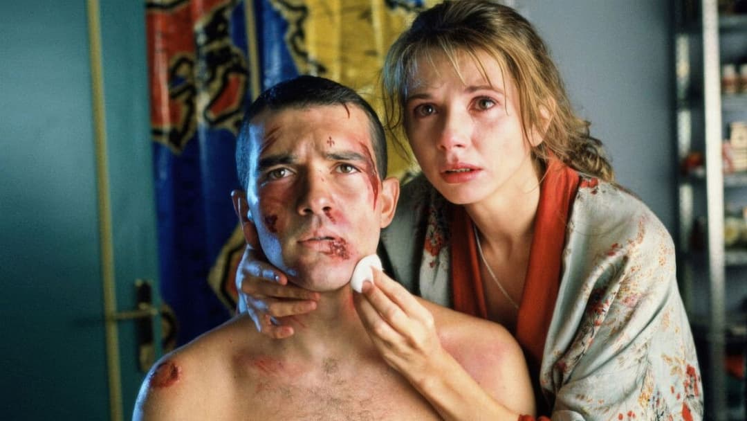 Fessle mich! backdrop 10