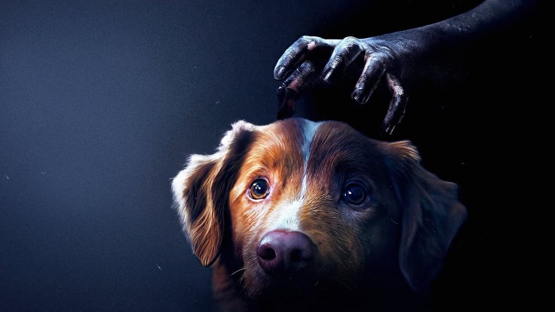 Хороший хлопчик backdrop 10