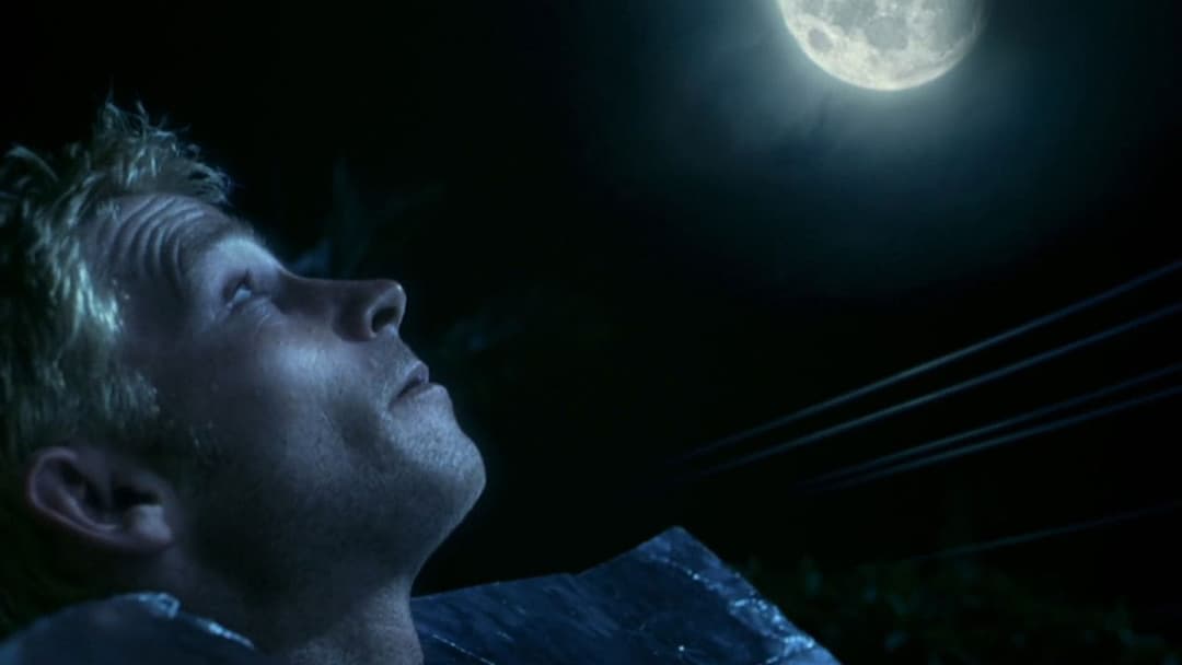 He Died with a Felafel in His Hand backdrop 4