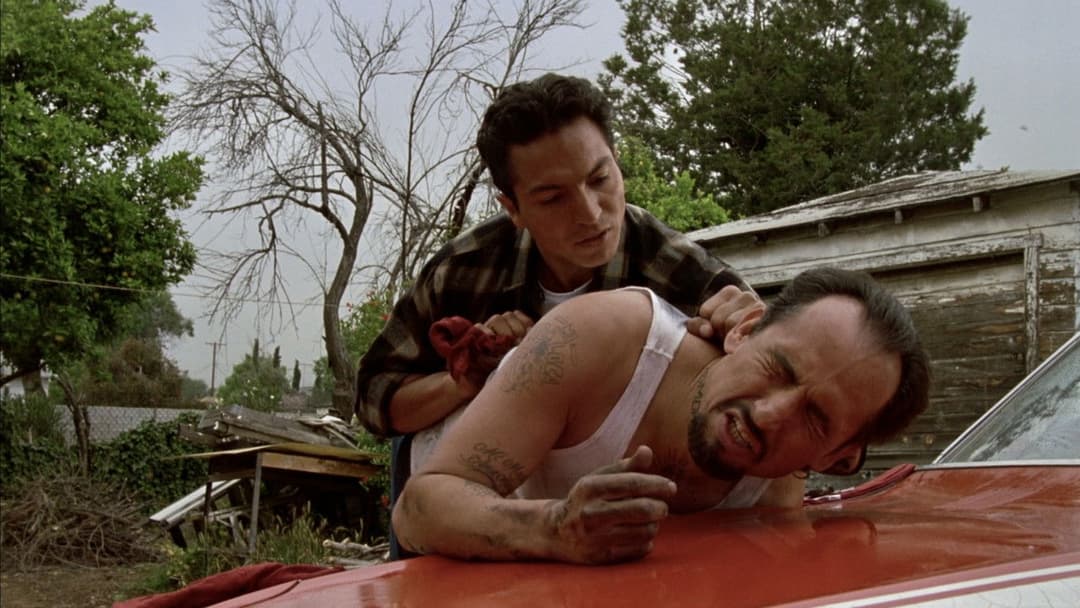 Bound by Honor backdrop 18