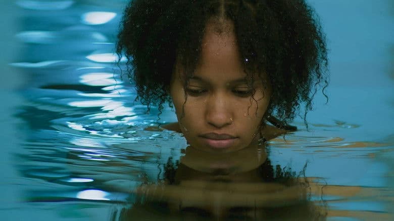 Documentary backdrop